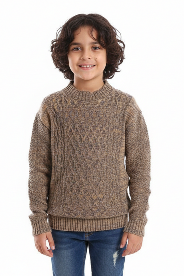 Boys' Wool Pullover with Multiple Designs