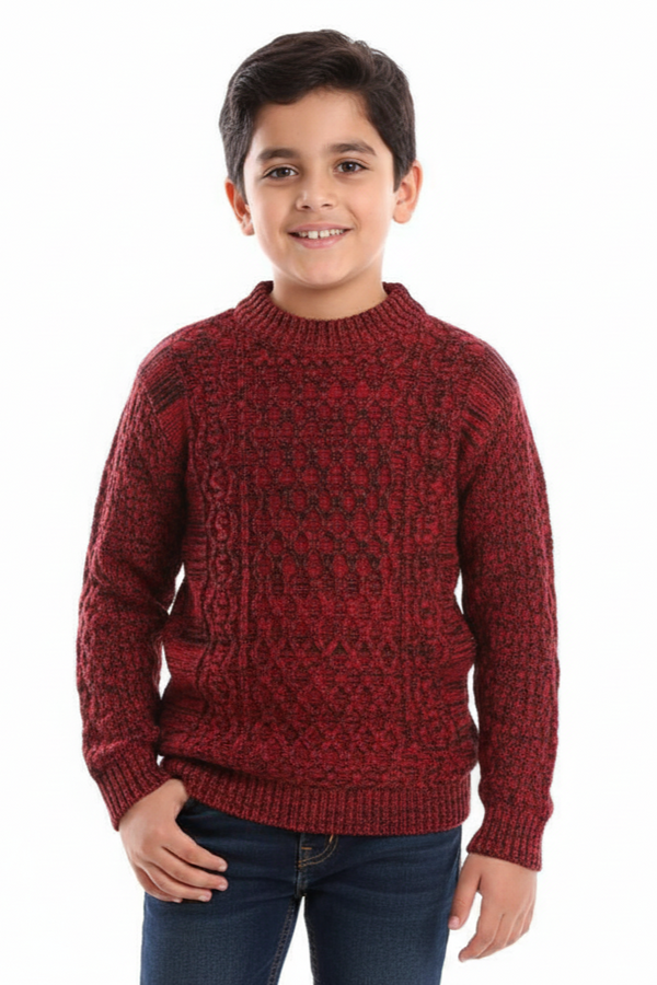 Boys' Wool Pullover with Multiple Designs